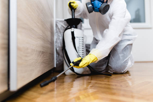 Wasp Removal Services in Caddo, OK