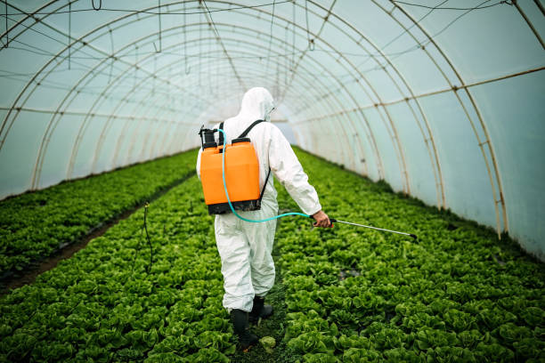 Best Best Pest Control Companies  in Caddo, OK