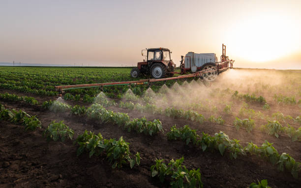 Best Pest Prevention Services  in Caddo, OK