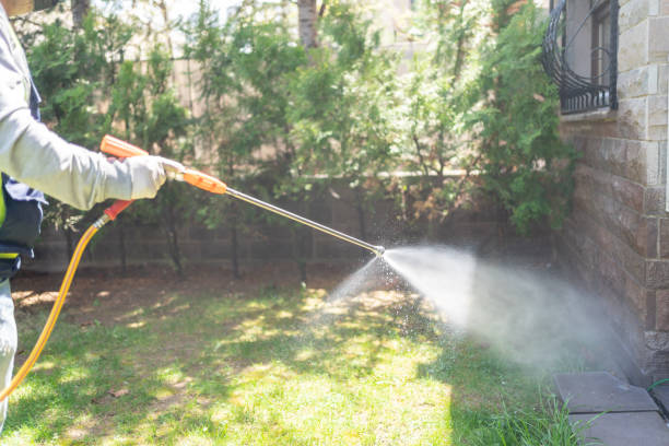 Reliable Caddo, OK Pest Control Solutions