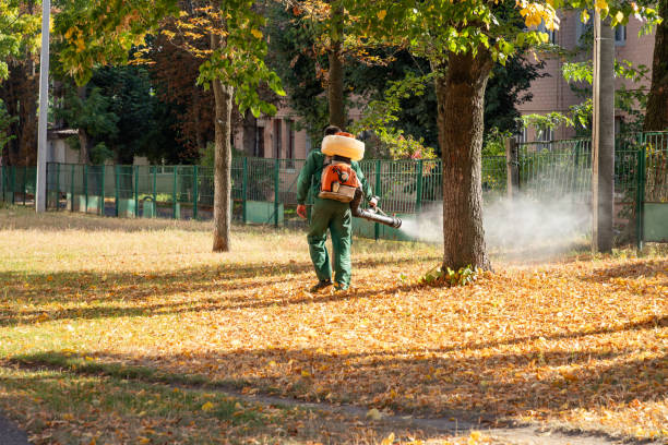 Best Pest Inspection Near Me  in Caddo, OK